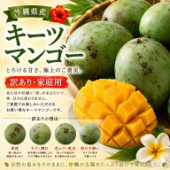 【送料無料】家庭用 キーツマンゴー 約2kg 発送8月～