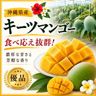 【送料無料】マンゴー キーツ 優品 約1kg ☆ 発送8月中旬〜9月中旬 沖縄県産