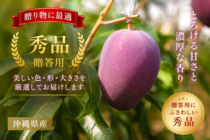 楽天市場】【予約商品・送料無料】完熟アップルマンゴー 贈答用 秀品 