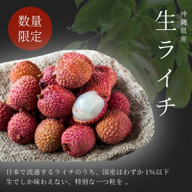 ライチ （生）500g (20〜25個）発送6月中旬