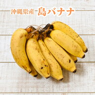 輸入バナナには戻れない 沖縄県産 島バナナ 約2kg　発送5月~11月頃