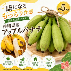 【送料無料】アップルバナナ 5kg 癖になるもっちり食感 沖縄県産