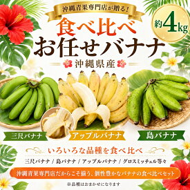 【送料無料】お任せバナナ　沖縄県産　4キロ　（三尺バナナ/島バナナ/アップルバナナグロスミッチェル等々）