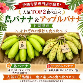 【人気TOP2】沖縄県産 バナナ食べ比べ 2キロ【島バナナ・アップルバナナ】
