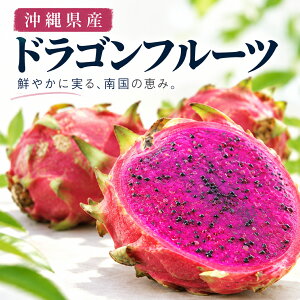 �y���Ԍ���SALE�z�h���S���t���[�c �D�i ��1kg �y����6�����{�`12���z ����Y