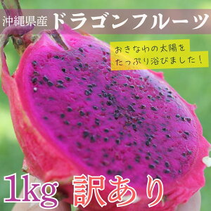 �h���S���t���[�c�@�󂠂� ��1kg �y����6�����{�`12���z ����Y