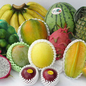 yݕ 6v6Еz 10000~R[X  Ct[c1`5ށi{̉ʕv܂Bj