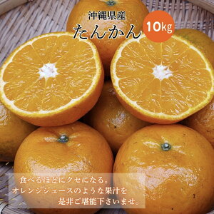 yzɓY 񂩂 Di 10L@ 1`3{