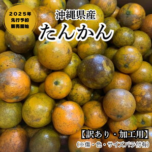 ɓY񂩂 KiO󂠂 3kg (SS~2LTCY) ڂ͈łAłB