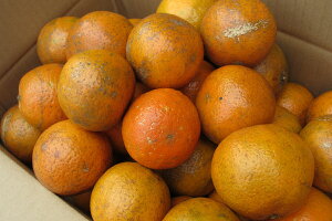 JAIʁ@ꌧY@񂩂@M`2LTCY@Di@1