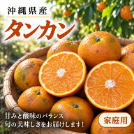 【予約商品】【送料無料】伊豆味産 たんかん 家庭用 約5kg 発送1月〜3月上旬　傷、サイズバラつき有