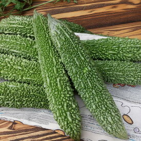 沖縄県産 ゴーヤー（苦瓜） 1kg