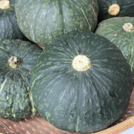 沖縄県産 栗カボチャ 約3kg （2〜5玉前後 ）
