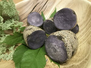 yzⓀ ^Ci^[,Acj2kg tbV^pbNiMς݁j