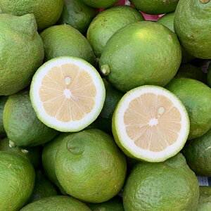 沖縄県産　マイヤーレモン 1kg（4〜12個） 沖縄のレモンは酸味がまろやか