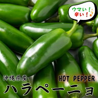 【送料無料】冷凍 ハラペーニョ　500グラム　真空パック　（冷凍便）