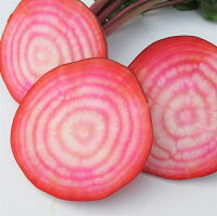 楽天市場 沖縄県産の野菜 ビーツ 沖縄美味通販のたま青果