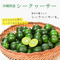 楽天市場】シークワーサー 1kg（食品）の通販