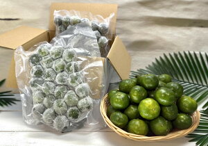 yⓀցEzꌧY@V[N[T[2L@^pbN