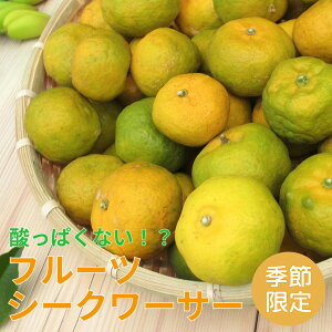 yzt[c V[N[T[ 5kg ΂Y12{`3