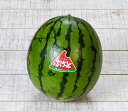 マツコの知らない世界で話題のスイカ！【予約商品】【送料無料】ぷちっと スイカ 3kg 前後　9月下旬発送 しっかりした…