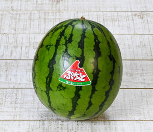 yzlC}㏸I Ղ XCJ 2 i1ʖ2.5`3kgj O 肵xň肵iB܂ŐHׂy10{\z