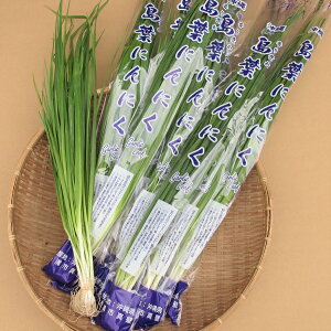 �j���j�N�t 500g �y���� 12���`2���z