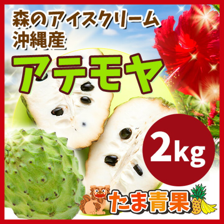 楽天市場】アテモヤ 2kg 発送11月下旬〜3月 : 沖縄美味通販のたま青果