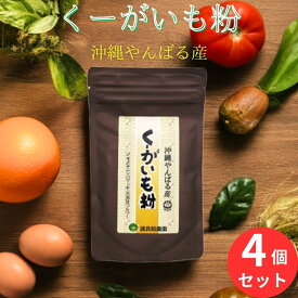 くーがいも粉 沖縄産 クーガ芋 粉末 100g 4個セット 山芋 沖縄自然薯 くーがいもパウダー ハリ芋 トゲドコロ ジオスゲニン 国産 沖縄 健康粉 渡具知農園 送料無料