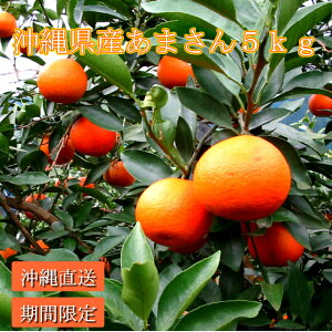 ꌧYSUN5kgiDijY ܂ ݂ ~~J {   Â  ~J  p 