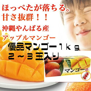 �A�b�v���}���S�[ ���ꌧ�Y�}���S�[ �D�i 1kg 2�`3�� ����y�Y ������ �Â� �������� �}���S�[ �A�b�v���}���S�[ ���� ���n�}���S�[ ���蕨 ������ �v���[���g ������p �M�t�g �S����������