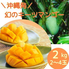 キーツマンゴー 送料無料 沖縄県産 キーツマンゴー 秀品 2kg （2～4玉） 大玉 贈答品 美味しい マンゴー 沖縄 緑のマンゴー 幻のマンゴー 沖縄産 甘い ご褒美 プチ贅沢 贈答用 沖縄県産 マンゴー
