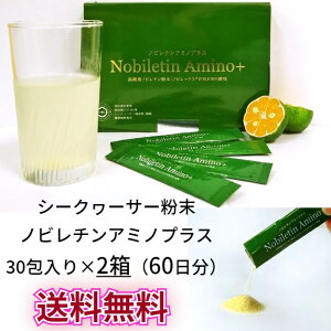 mr` A~mvX 30×2 60 |tFm[ Tv OV A~m_  x ܂ł K ǎ 钆̃gC gCY  gC pA  