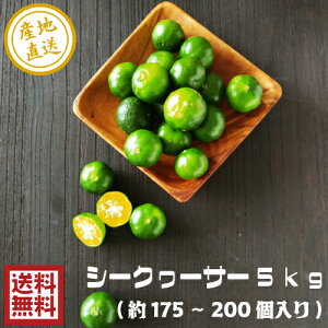 yԌ̔zV[N[T[ ؂V[N[T[ 2kg 3kg 5kg ꌧY V[N[T[ʎ  V[NA[T[ Bi  󂠂 LY s V[N[T[ ؂V[
