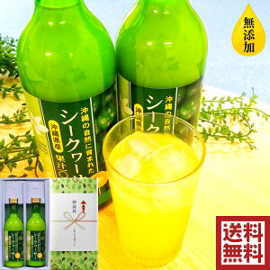 Ε V[N[T[蕨 ꌧYV[N[T[W[X500ml×2{Zbg  V[N[T[W[X Mtg W[XMtg v[g 蕨 V[N[T[ N j 