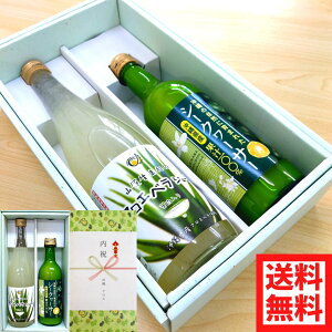 Ε AGx720ml V[N[T[500ml 2{Zbg Mtg  AGxW[X V[N[T[W[X ꌧY N W[XMtg ݔ׃Zbg 蕨 v[g 