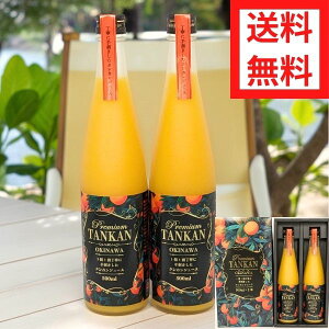 Ε W[XMtg v~A^J 500ml 2{ MtgZbg 񂩂 W[X  ʌ ꌧY ^J ~J ݂W[X Mtg 蕨 v[g j N
