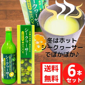 ���ꌧ�Y�V�[�N���[�T�[ �ʏ`100�� 500ml 6�{�Z�b�g �؂�V�[�N���[�T�[ �V�[�N���[�T�[�W���[�X �V�[�N���[�T�[ ���t ���Y�� �؂� �V�[�N�A�[�T�[ 100�� �W���[�X �ʎ����� ���N���� �R�b