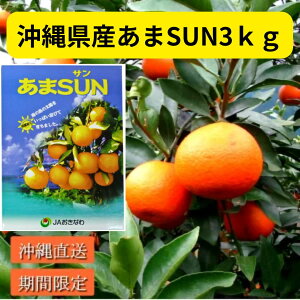 ꌧYSUN 3kgiDjY ܂ ݂ ~݂ { ݂   Â  ~J Di Ε 蕨 Mtg ϔ 