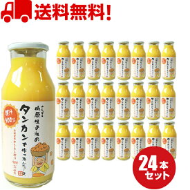 山原生まれのタンカンで作ったジュース180ml 24本 送料無料 沖縄県産 タンカン ジュース たんかん 沖縄 ミカンジュース ビタミンP お得 セット割引 栄養たっぷり ドリンク