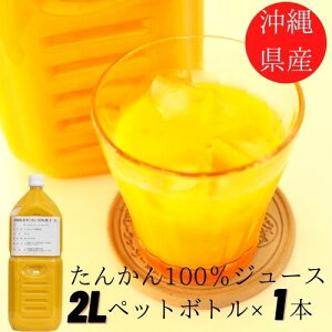 沖縄県産たんかん 果汁100% 2L 無添加ジュース 業務用 ビタミンP タンカン100% 沖縄 たんかん タンカンジュース 2000ml 沖縄県産 ミカンジュース みかん ドリンク 無添加 果汁 ストレート オレ