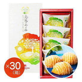 【エーデルワイス沖縄】『島果のめぐみ　ヒラミーレモンケーキ5個入×30箱セット』【送料無料】【沖縄土産】