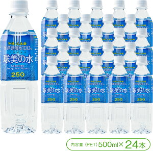 y[612m狂ݏグvē̊Cm[wz̐mdx250niPET500ml×24{jyCm[w ~lEH[^[   p h ЊQ΍ 퐅 ~ ̓ vē 