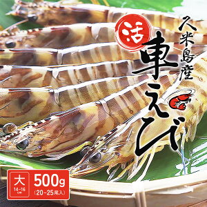 y\̔Jnzy2025N121o׊Jnzyvē蒼ImnzvēYԊCVimTCYn14`16cmj500gi20`25jyΕ Mtg 蕨  