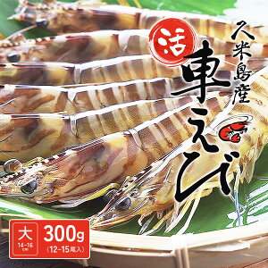 y\̔Jnzy2025N121o׊Jnzyvē蒼ImnzvēYԊCVimTCYn14`16cmj300gi10`15jyΕ Mtg 蕨  