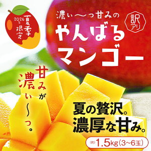 �y7����{�`7�����{�������\��z���ꌧ�Y�󂠂�}���S�[ ��1.5kg�i3�`6�ʓ��j�����y�}���S�[ �A�b�v���}���S�[ ���n�}���S�[ ����}���S�[ �󂠂� �ʕ� �t���[�c�z