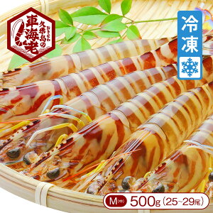 yꌧvē蒼zvēYuY}ⓀԊCViTCYF12`14cmjv500gi25`29jyԂ  Ⓚ 蕨 Mtg j  Ε vē z