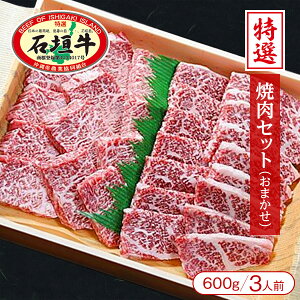 yꌧΊ_蒼zΊ_Iē܂Zbgi600g^3lOjy јa Ί_ 蕨 Mtg j  Ε Ί_ z