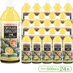 yꌧYV[N[T[gpIzILn̉V[N[T[100iPET500ml×24{jyV[N[T[ ILn mr` z