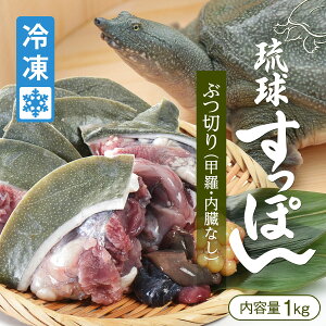 すっぽん 冷凍の人気商品 通販 価格比較 価格 Com